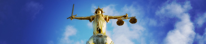 Employment Law